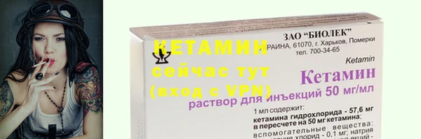 индика Богданович